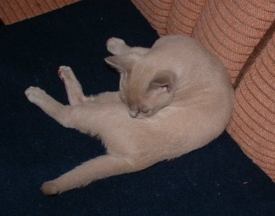 2,5m�n