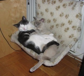 Hugo&Shiraz